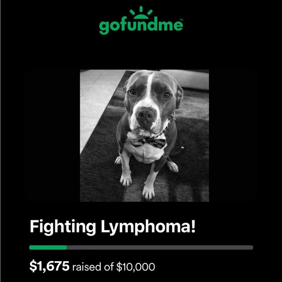 SALE - RAISING MONEY FOR CANCER TREATMENT! - Picture 11 of 12